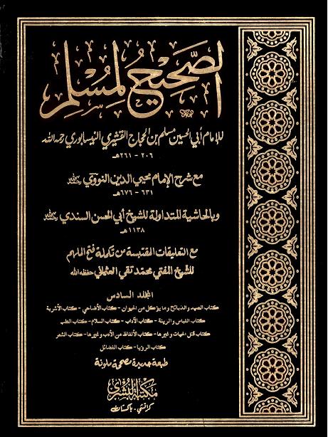 al sahi li muslim vol 6